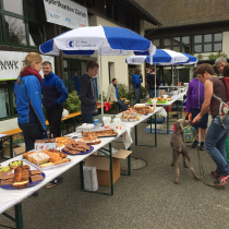 2014-09-28 11.50.52.jpg