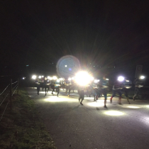 Foto 03.03.17, 19 34 07.jpg