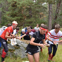 Sommer TL Wallis 2018