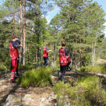 DSC09986 (800x600).jpg